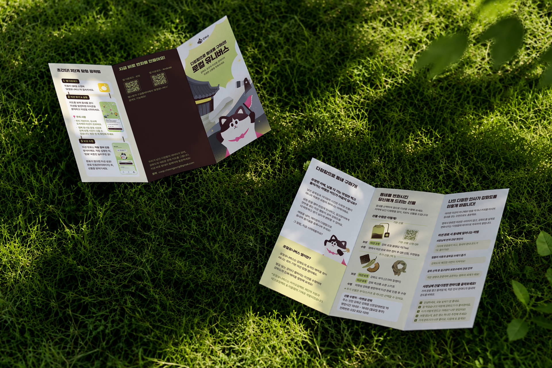 Local Universe tri-fold leaflets on grass showing cover and interior panels